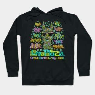 Llamapalooza 2020 Hoodie